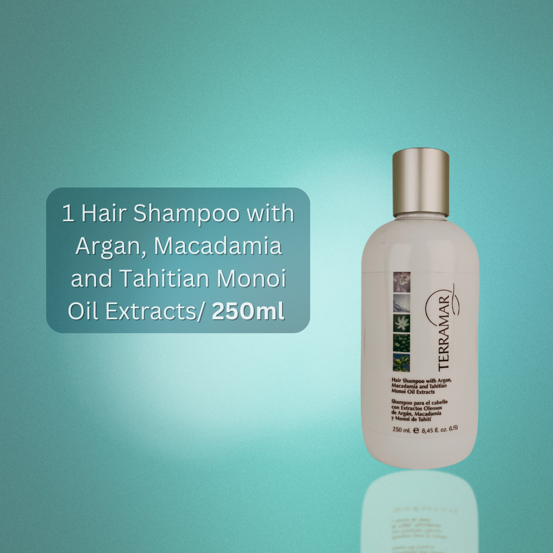 Terramar Hair Care Special Offer: Shampoo, Intensive Mask & Hair Oil with Argan
